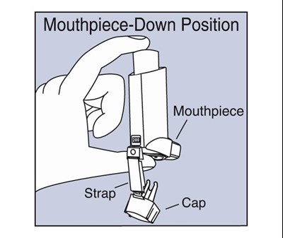 E (Patient Package Insert 5)